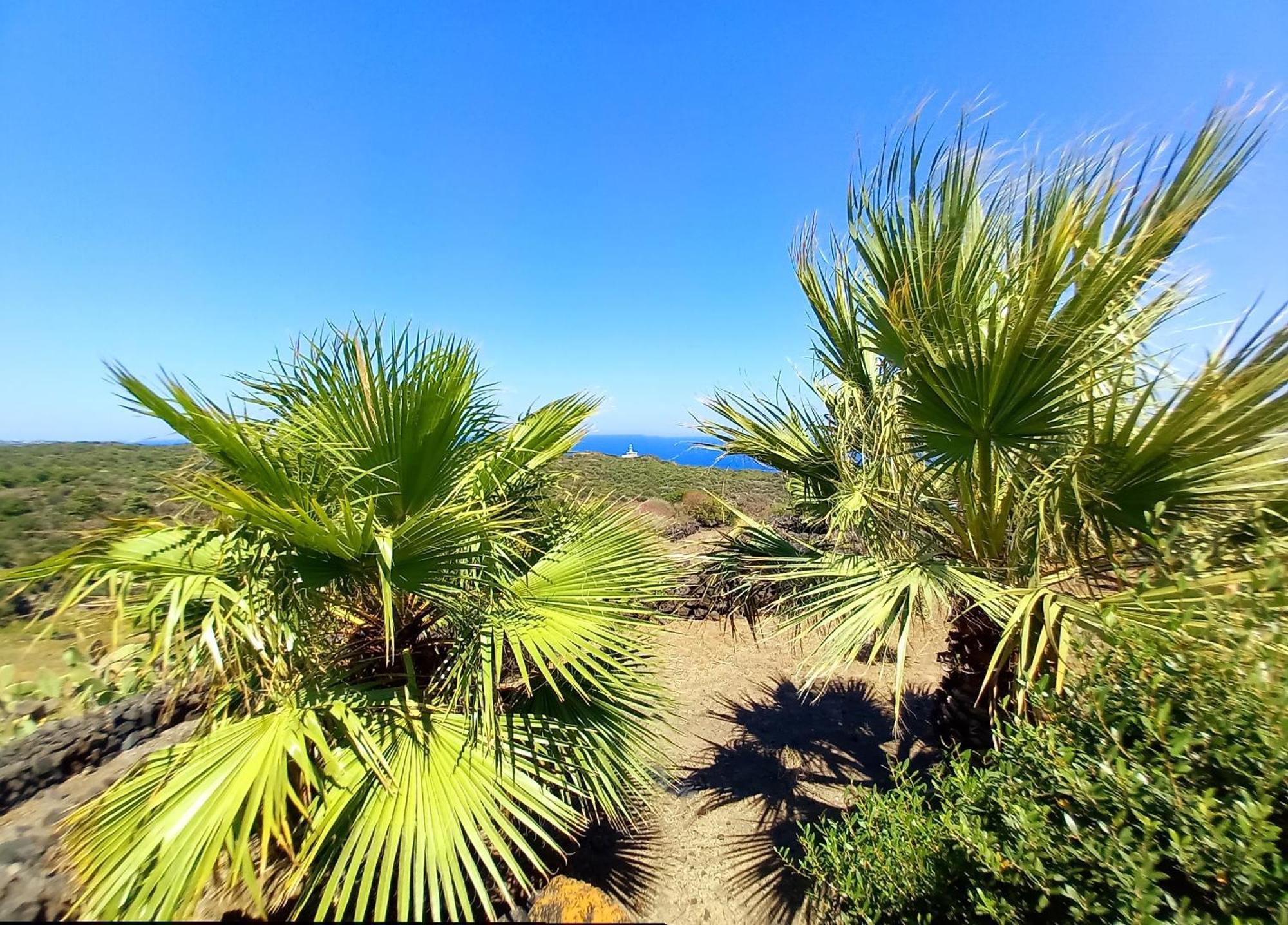 Agriturismo La Cala Cottone Khamma Fuori Esterno foto